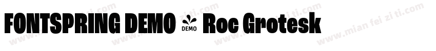 FONTSPRING DEMO - Roc Grotesk Black字体转换